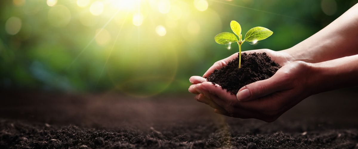 Chester sustainability